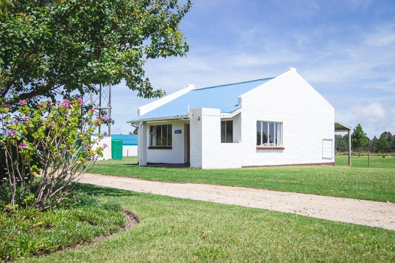 Tsitsikamma Cottages Witelsbos Zewnętrze zdjęcie