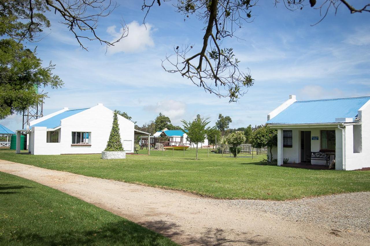 Tsitsikamma Cottages Witelsbos Zewnętrze zdjęcie